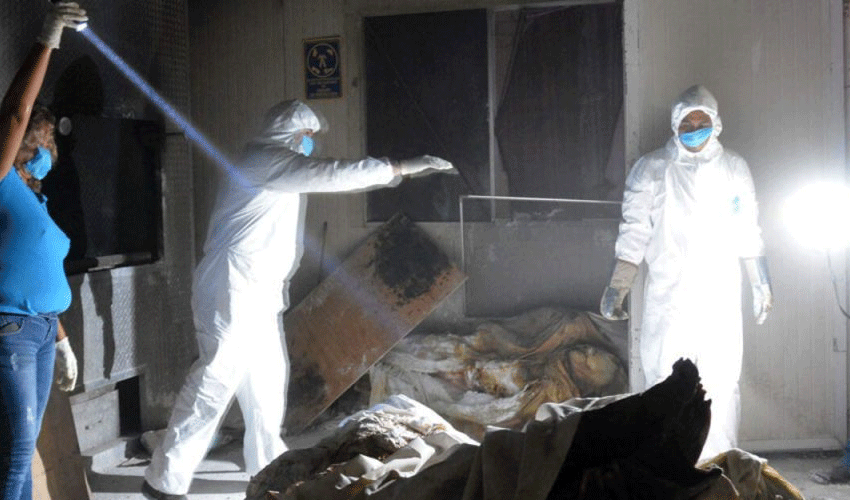 381 Bodies Found Mexico: Authorities Launch Major Investigation